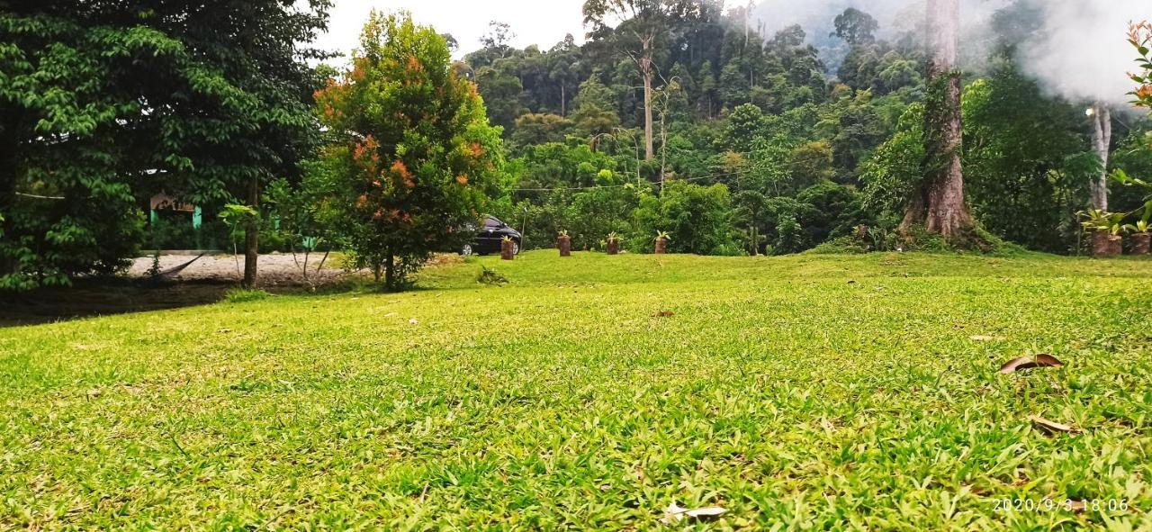 Green Forest Tangkahan Εξωτερικό φωτογραφία