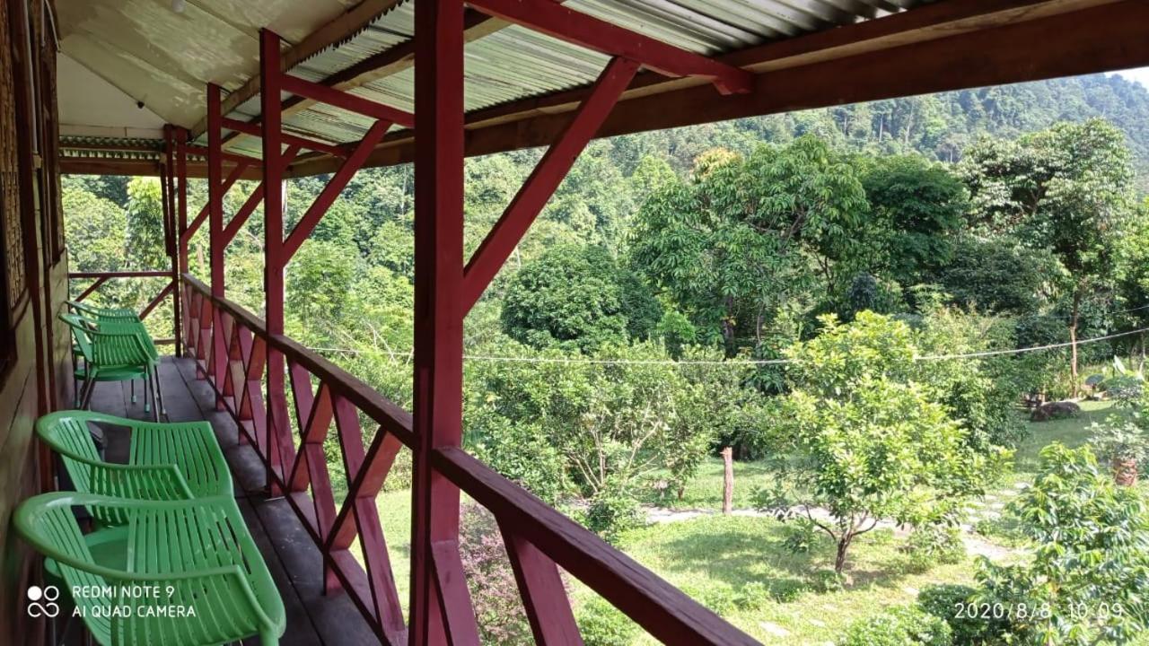 Green Forest Tangkahan Δωμάτιο φωτογραφία