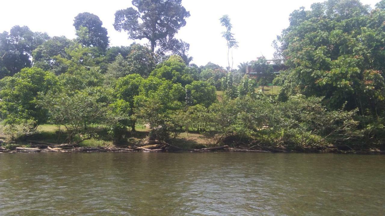 Green Forest Tangkahan Εξωτερικό φωτογραφία
