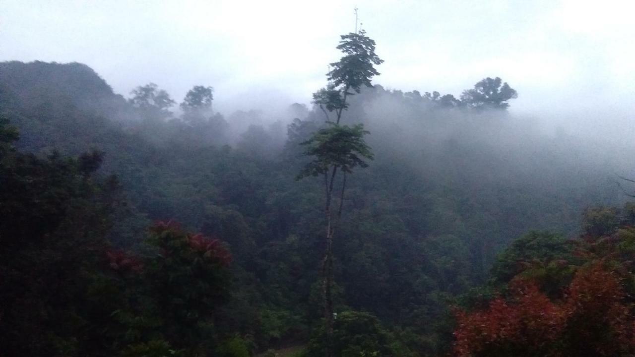 Green Forest Tangkahan Εξωτερικό φωτογραφία