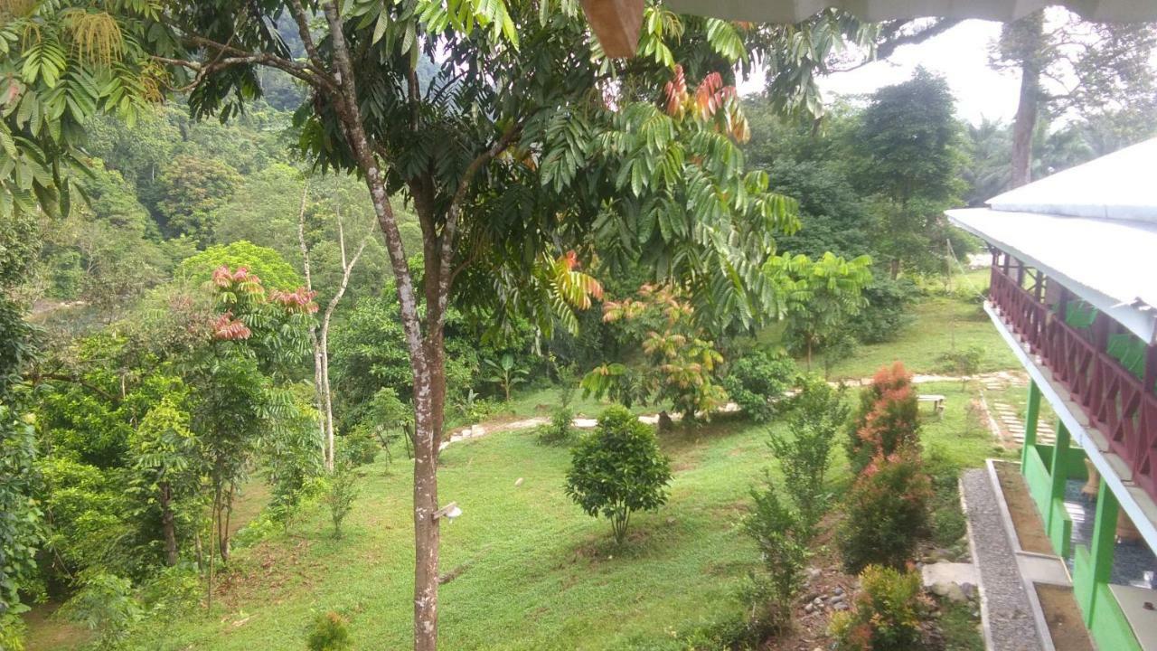 Green Forest Tangkahan Εξωτερικό φωτογραφία