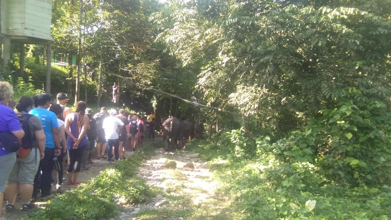 Green Forest Tangkahan Εξωτερικό φωτογραφία