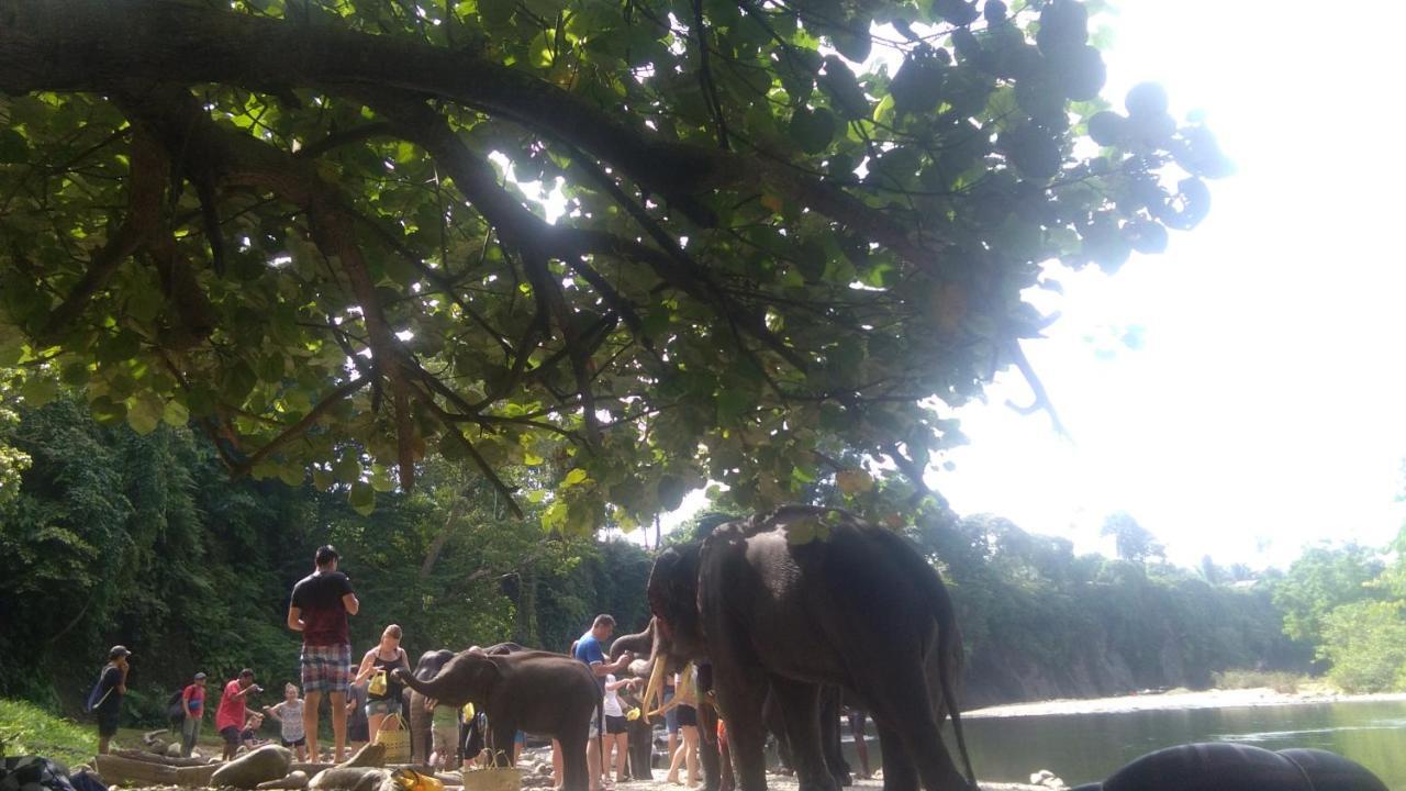 Green Forest Tangkahan Εξωτερικό φωτογραφία