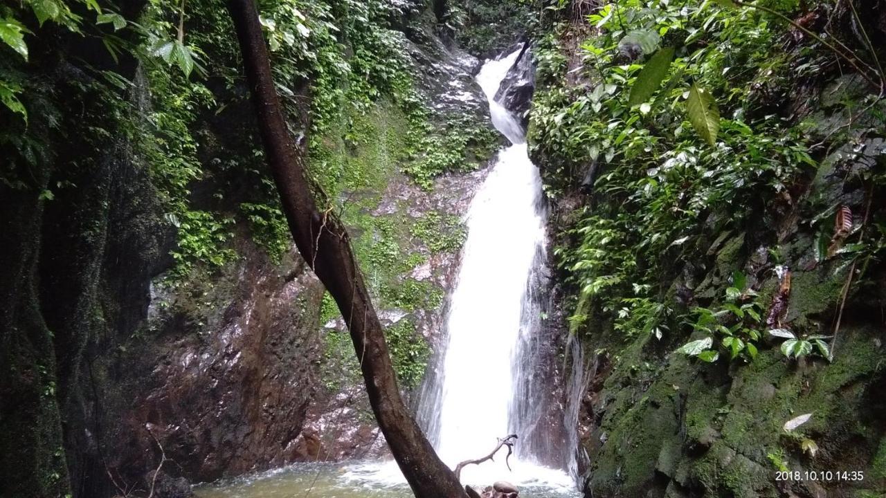 Green Forest Tangkahan Εξωτερικό φωτογραφία